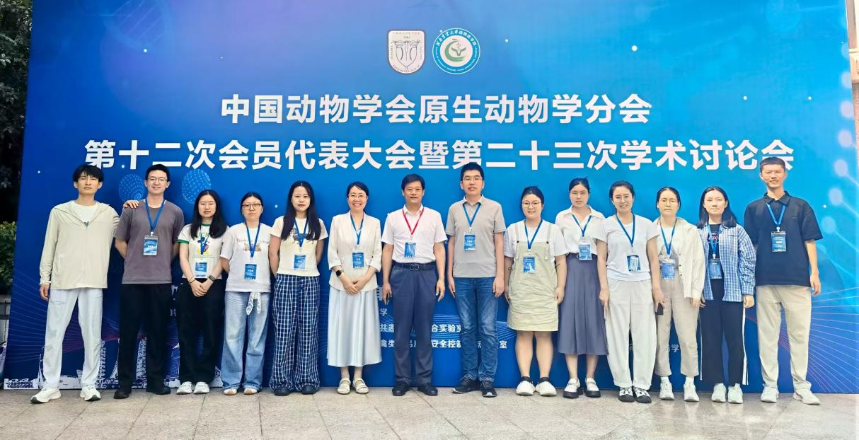 图片6.jpg