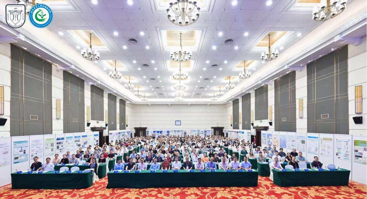 图片10.jpg