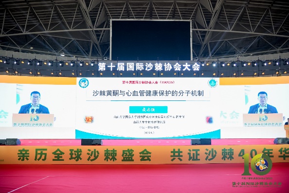 图片6.jpg